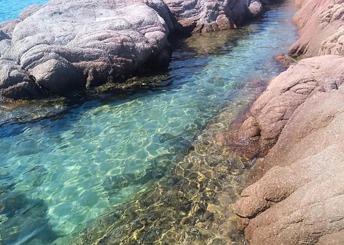 公寓 Affittimoderni - Cavalluccio Marino